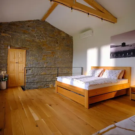 Σπίτι διακοπών Tomazev Svet